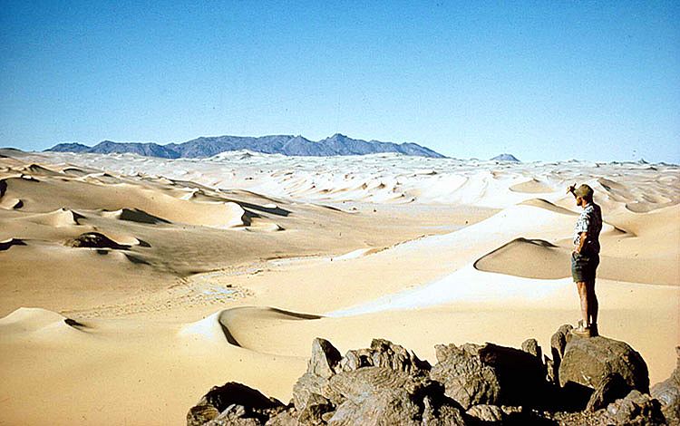 View of the Sahara desert